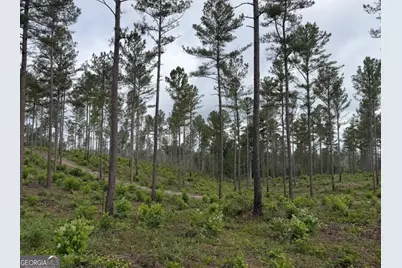 0 Mt. Sinai #LOT 4, Lula, GA 30554 - Photo 43