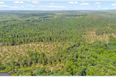 0 Mt. Sinai #LOT 4, Lula, GA 30554 - Photo 11