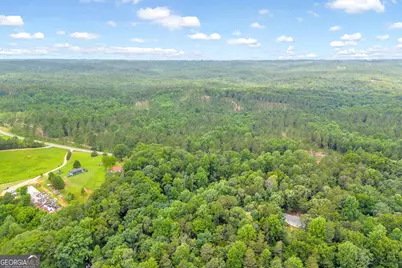 0 Mt. Sinai #LOT 4, Lula, GA 30554 - Photo 35