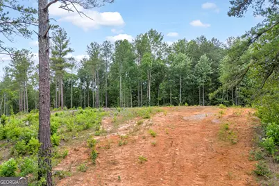 0 Mt. Sinai #LOT 4, Lula, GA 30554 - Photo 39
