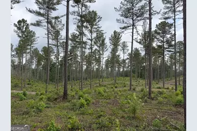 0 Mt. Sinai #LOT 4, Lula, GA 30554 - Photo 41