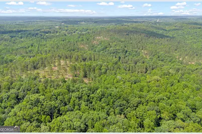 0 Mt. Sinai #LOT 4, Lula, GA 30554 - Photo 13