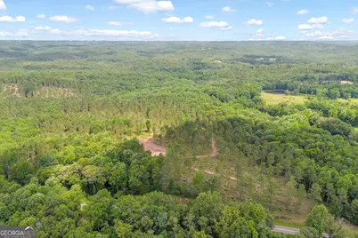0 Mt. Sinai #LOT 4, Lula, GA 30554 - Photo 21