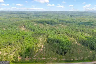 0 Mt. Sinai #LOT 4, Lula, GA 30554 - Photo 19