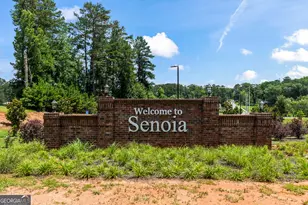 60 Rocky Bay Lane, Senoia, GA 30276 - Photo 53