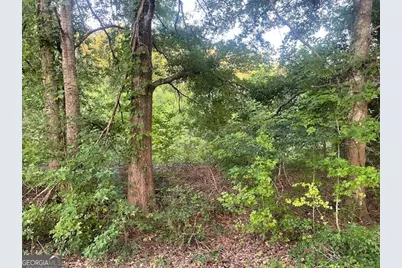 0 McCrary Road - Tract 3, Molena, GA 30258 - Photo 13
