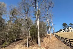 0 Jack Pittman Rd, Dacula, GA 30019 - Photo 1
