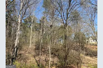 0 Jack Pittman Road, Dacula, GA 30019 - Photo 5