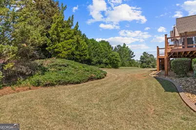 3001 Dawkins Landing, Hampton, GA 30228 - Photo 45