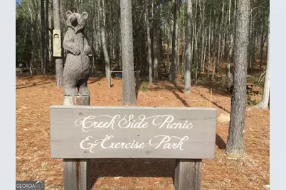 1424 Ridge Pointe Way, Blairsville, GA 30512 - Photo 109