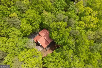 305 Martin Crossing, Cherry Log, GA 30522 - Photo 3