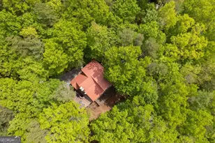 305 Martin Crossing, Cherry Log, GA 30522 - Photo 3