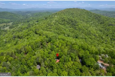 305 Martin Crossing, Cherry Log, GA 30522 - Photo 37