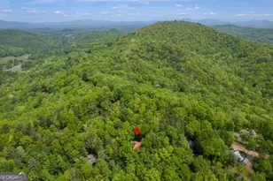 305 Martin Crossing, Cherry Log, GA 30522 - Photo 37
