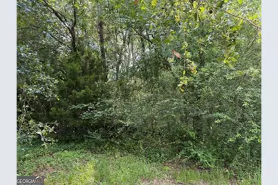 0 Milton Avenue, Savannah, GA 31405 - Photo 3