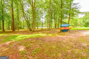115 Wildwood Dr, Temple, GA 30179 - Photo 33