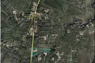 11817 Ga Hwy 99, Darien, GA 31305 - Photo 45