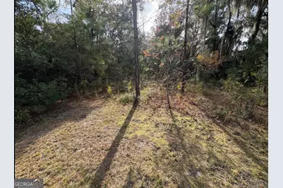11817 Ga Highway 99, Darien, GA 31305 - Photo 41