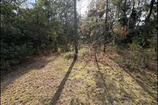 11817 Ga Hwy 99, Darien, GA 31305 - Photo 41