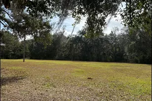 11817 Ga Hwy 99, Darien, GA 31305 - Photo 39