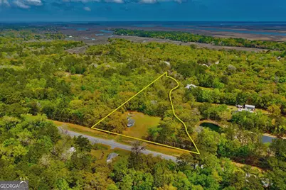 11817 Ga Highway 99, Darien, GA 31305 - Photo 5