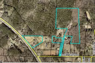555 Hwy 3 N, Hampton, GA 30228 - Photo 1