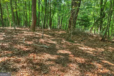 46 Sequoya Trail, Blairsville, GA 30512 - Photo 51