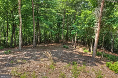 46 Sequoya Trail, Blairsville, GA 30512 - Photo 33