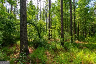 0 County Road 0071, Waverly Hall, GA 31831 - Photo 11