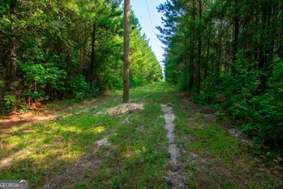 0 County Road 0071, Waverly Hall, GA 31831 - Photo 9