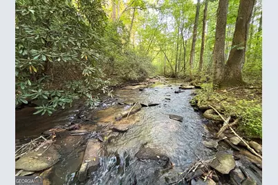 Lot 18 Mt. Springer Road, Ellijay, GA 30540 - Photo 3