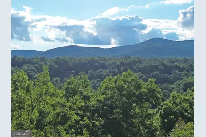 Lot 18 Mt. Springer Road, Ellijay, GA 30540 - Photo 17