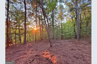 Lot 18 Mt. Springer Road, Ellijay, GA 30540 - Photo 19