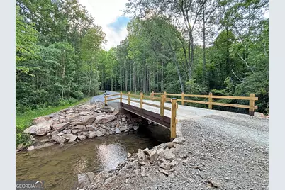 Lot 18 Mt. Springer Road, Ellijay, GA 30540 - Photo 5