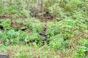 5127 Mineral Springs Rd, Young Harris, GA 30582 - Photo 47