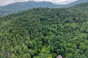 5127 Mineral Springs Rd, Young Harris, GA 30582 - Photo 53