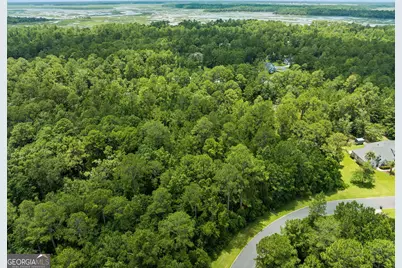 V/L 185 Sunrise Drive, Woodbine, GA 31569 - Photo 7