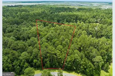 V/L 185 Sunrise Drive, Woodbine, GA 31569 - Photo 1