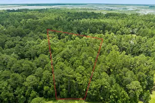 V/L 185 Sunrise Dr, Woodbine, GA 31569 - Photo 1