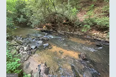 Lot 19 Mt. Springer Road, Ellijay, GA 30540 - Photo 29