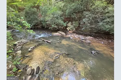 Lot 19 Mt. Springer Road, Ellijay, GA 30540 - Photo 27