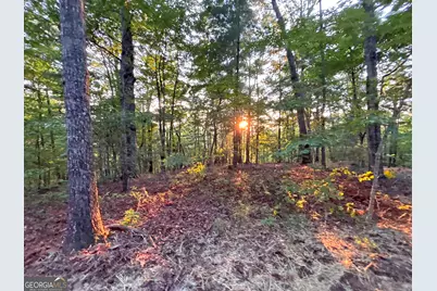 Lot 19 Mt. Springer Road, Ellijay, GA 30540 - Photo 15