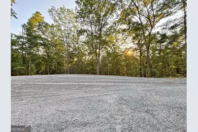 Lot 19 Mt. Springer Road, Ellijay, GA 30540 - Photo 11