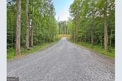 Lot 19 Mt. Springer Road, Ellijay, GA 30540 - Photo 7
