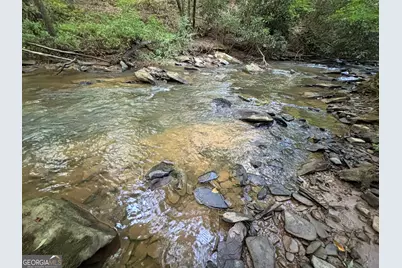 Lot 19 Mt. Springer Road, Ellijay, GA 30540 - Photo 25