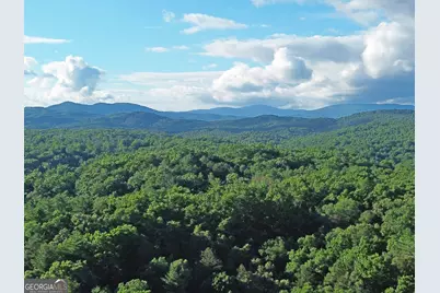 Lot 19 Mt. Springer Road, Ellijay, GA 30540 - Photo 13