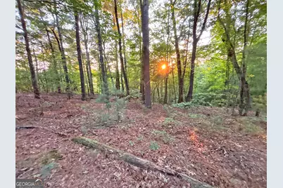 Lot 19 Mt. Springer Road, Ellijay, GA 30540 - Photo 23