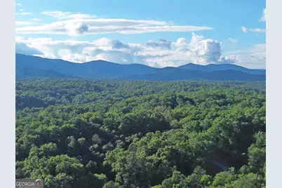 Lot 19 Mt. Springer Road, Ellijay, GA 30540 - Photo 17