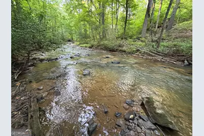 Lot 19 Mt. Springer Road, Ellijay, GA 30540 - Photo 31