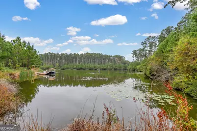 99 Small Pine Lane, Richmond Hill, GA 31324 - Photo 37